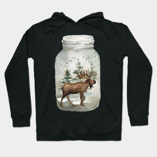 Winter in a Jar Hoodie